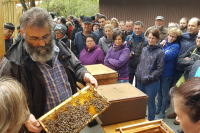 16.05.26 - Der Umgang mit Bienenvölkern: Völkerbeurteilung, Handgriffe und Tipps zur Arbeitsweise für Anfänger